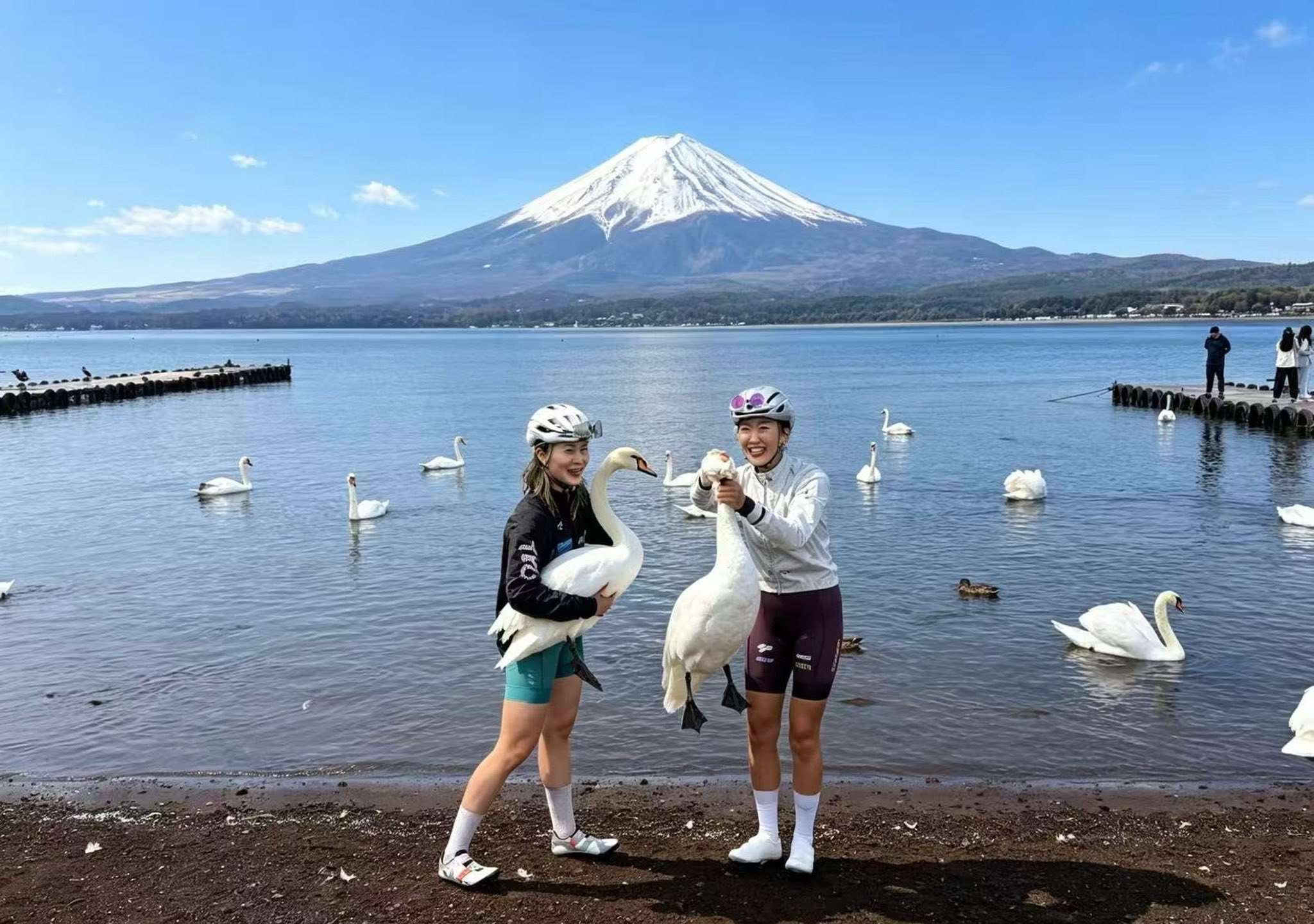 近日網路上瘋傳兩名中國女性遊客在日本富士山山中湖畔追逐並徒手捕捉野生天鵝的照片，其中一人更掐住天鵝頸部並吊在半空中。(翻攝X@JapanBanZaiLove)