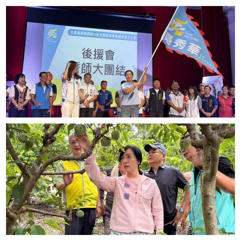 台東縣長選戰，國民黨參選人吳秀華5日成立社團後援會，黨主席鄭麗文授戰旗。(上圖)；民進黨參選人陳瑩現勘釋迦災情。(下圖)。(合成圖/ 中央社)