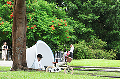 連日多雨天氣結束，天氣放晴。圖為民眾在台北華山大草原綠地休閒。資料照片。