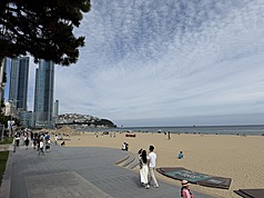 近期造訪韓國釜山的台灣觀光客大幅增加，115年截至7月，造訪釜山的外國觀光客共292萬7674人，其中台灣觀光客就達60萬5000人，比例最高。圖為釜山知名景點海雲台。