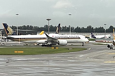 新加坡航空持有印度航空部分股權，印航近期為緩解虧損與推動轉型而尋求的注資，引起新加坡媒體輿論關注。