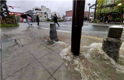 日本神奈川縣鎌倉市21日因颱風「杜鵑」帶來暴雨，街道積水湍急，民眾小心涉水通行。