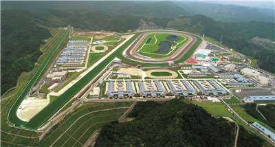 從化馬場(圖取自香港賽馬會網站)