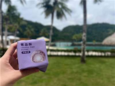 外交部長林佳龍表示，一顆小小的芋頭酥，既入心、又入胃，成了「外交大功臣」。(圖取自林佳龍臉書)