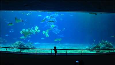 海生館是民眾認識海洋生物的重點地點
