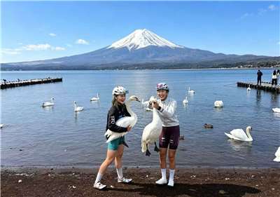 近日網路上瘋傳兩名中國女性遊客在日本富士山山中湖畔追逐並徒手捕捉野生天鵝的照片，其中一人更掐住天鵝頸部並吊在半空中。(翻攝X@JapanBanZaiLove)