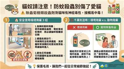 除蟲菊精殺蟲劑對貓隻具神經毒性，環部強制增列警語並籲飼主謹慎使用。(環境部提供)