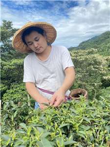 寶記茶舖第五代主理人古亦平