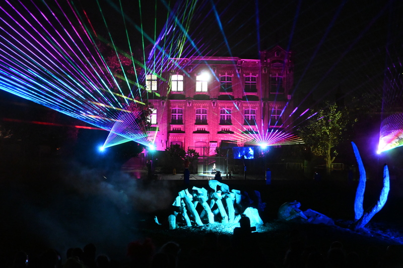 聖吉勒斯區的萬聖節遊行開始之前，廣場先進行了燈光秀與煙火施放，炒熱了現場氣氛。