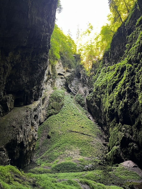 位在捷克南方的「摩拉維亞喀斯特」（Moravian Karst）的「卡捷琳娜洞穴」（Kateřinská）、「龐克瓦洞穴」（Punkva caves）與「馬科哈深淵」（Macocha Abyss），正爭取列入UNESCO世界遺產名錄。圖為「馬科哈深淵」。

