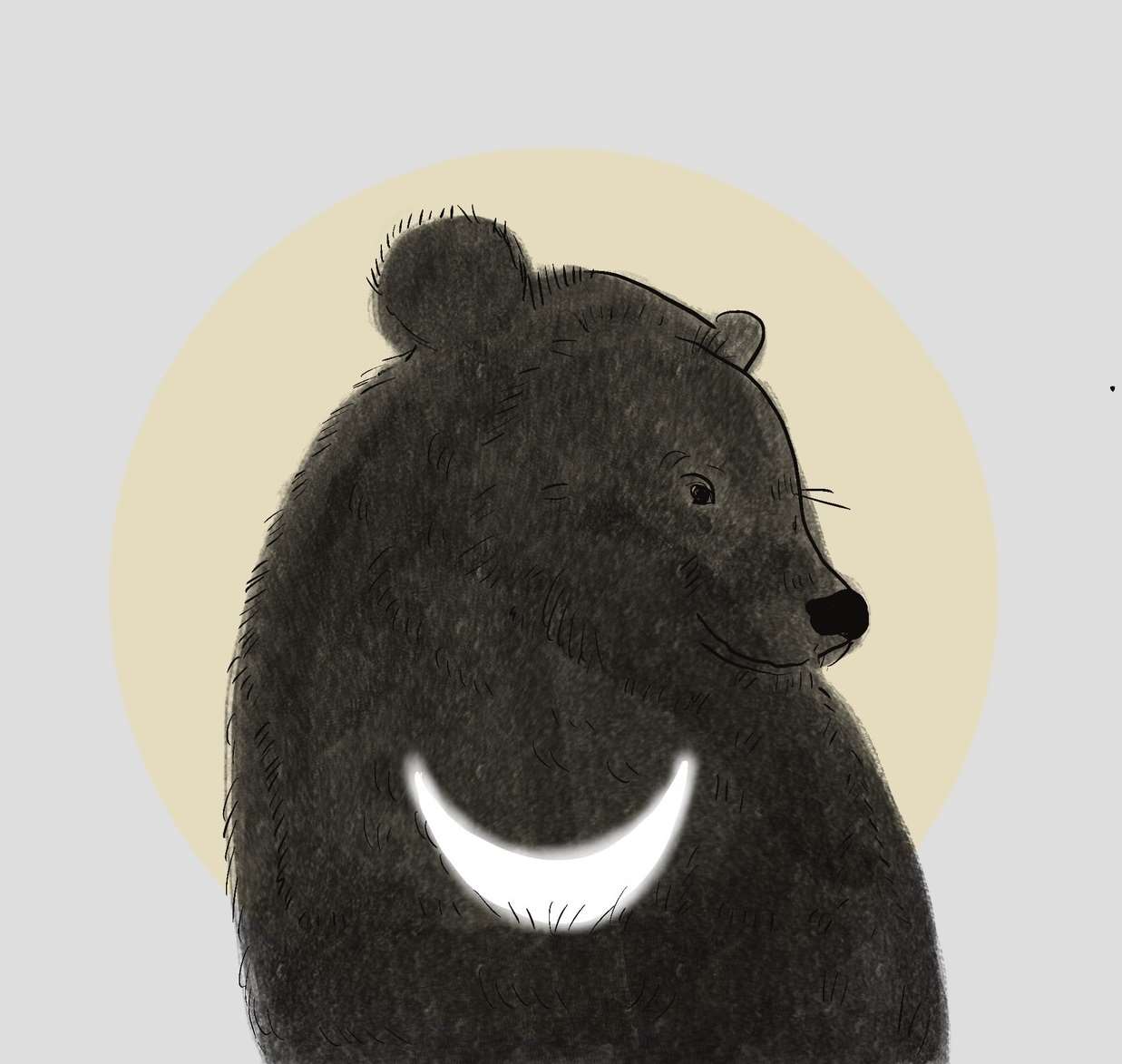 台灣黑熊別稱月熊（Moon Bear）圖片出處：「台灣黑熊保育協會」臉書