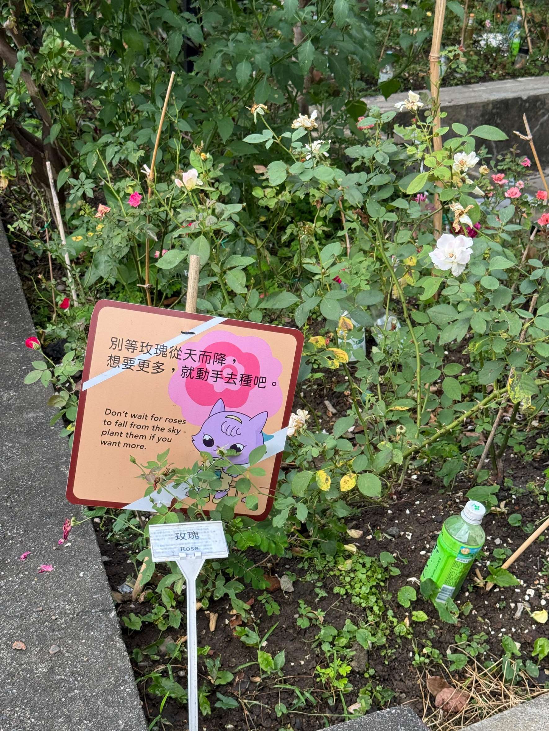 跟"小丸家族"攜手合作所製作的花牌