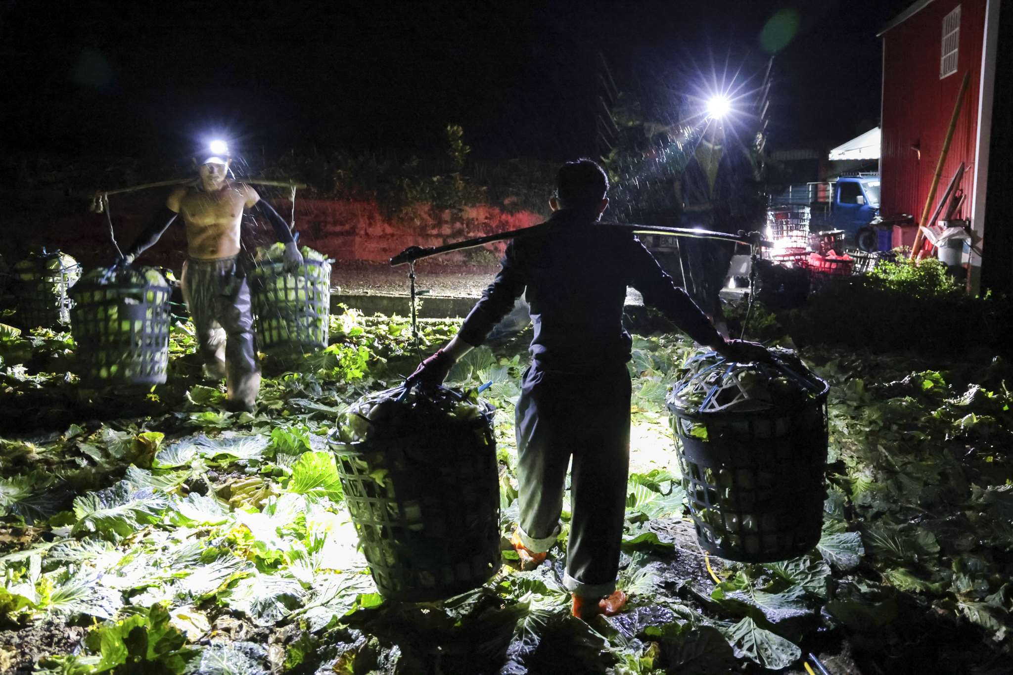 黃子明長期關注失聯移工，更以《農田裡的螢火蟲忙做工》獲頒2025卓越新聞獎系列新聞攝影獎。(黃子明提供)
