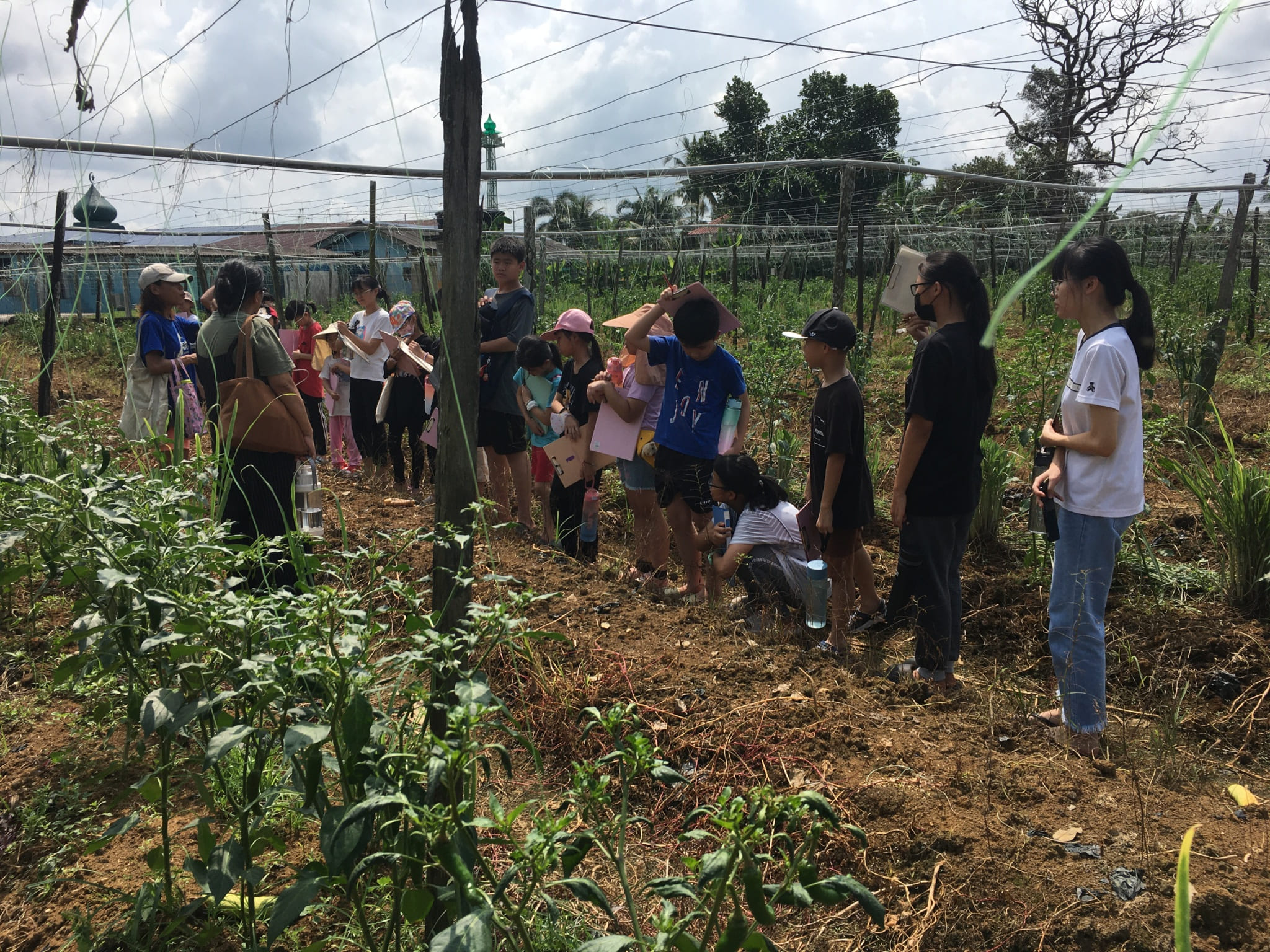 沙威新村社造二