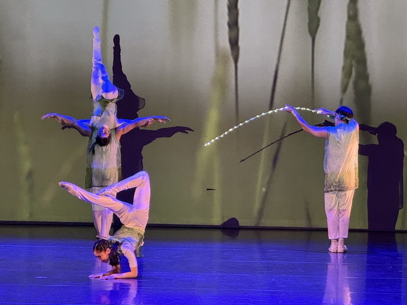 由僑委會遴派美加地區巡演的國立台灣戲曲學院「台灣特技團」國慶文化訪問團，9日在加拿大多倫多演出，技藝精湛。