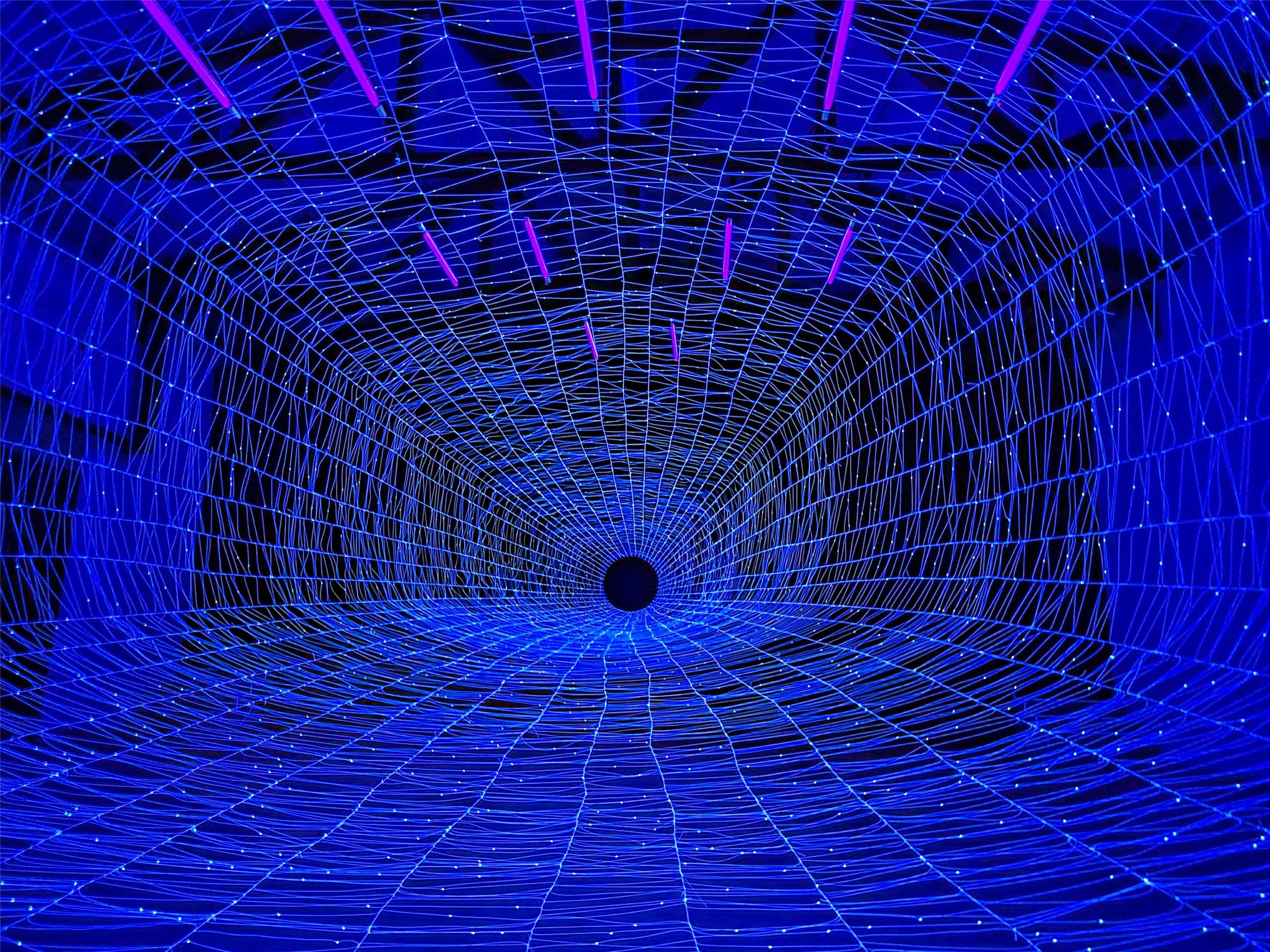 第三屆馬祖國際藝術島 策展作品  生命之網