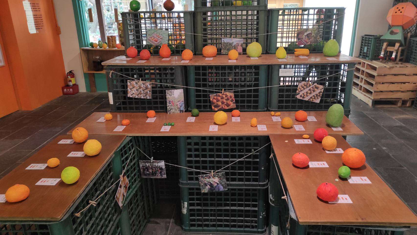 三十多種柑橘品種，你能說出幾種呢?