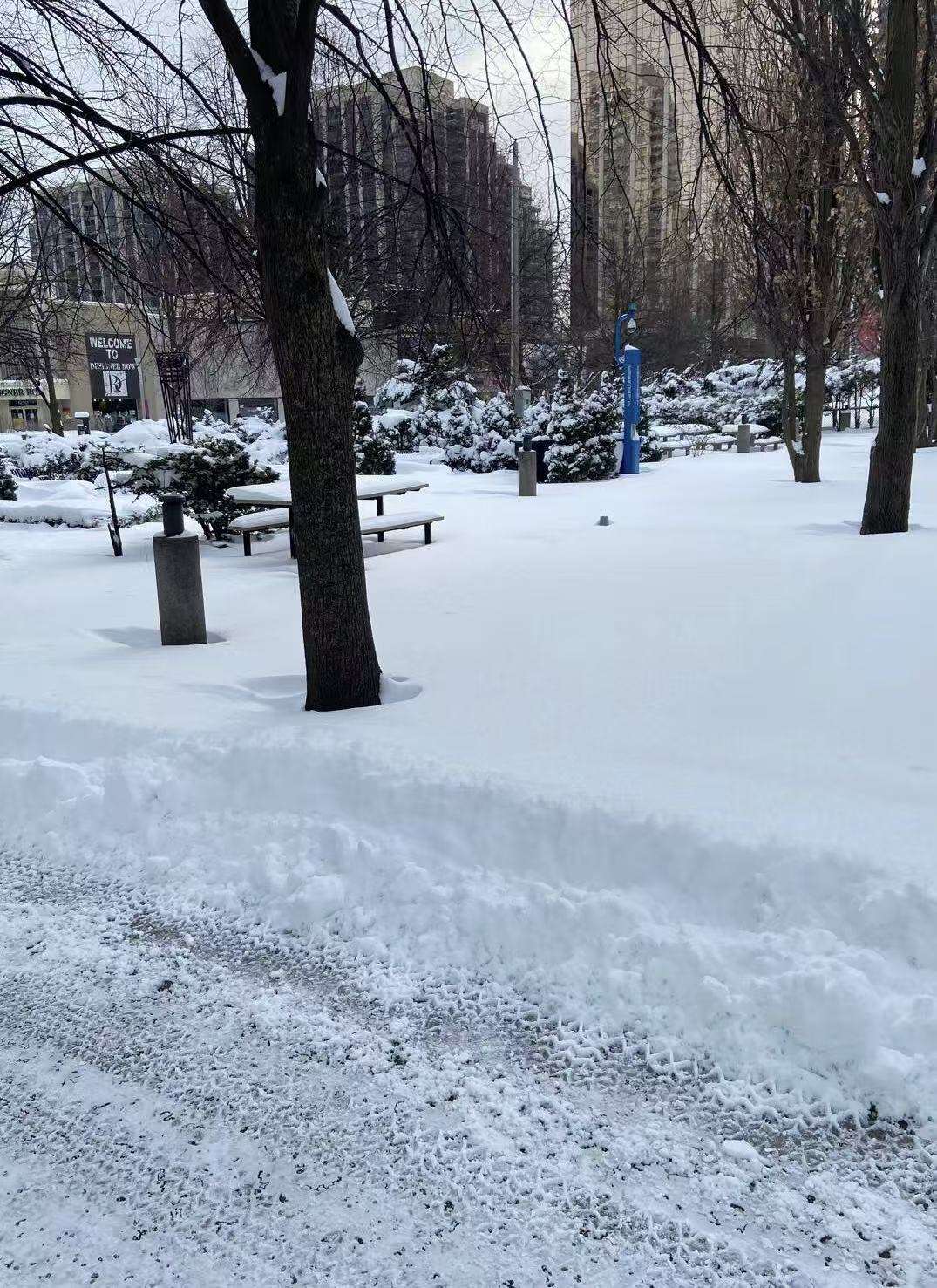 雪很漂亮?  鏟雪就不輕鬆了! 不鏟雪，連路都走不了!