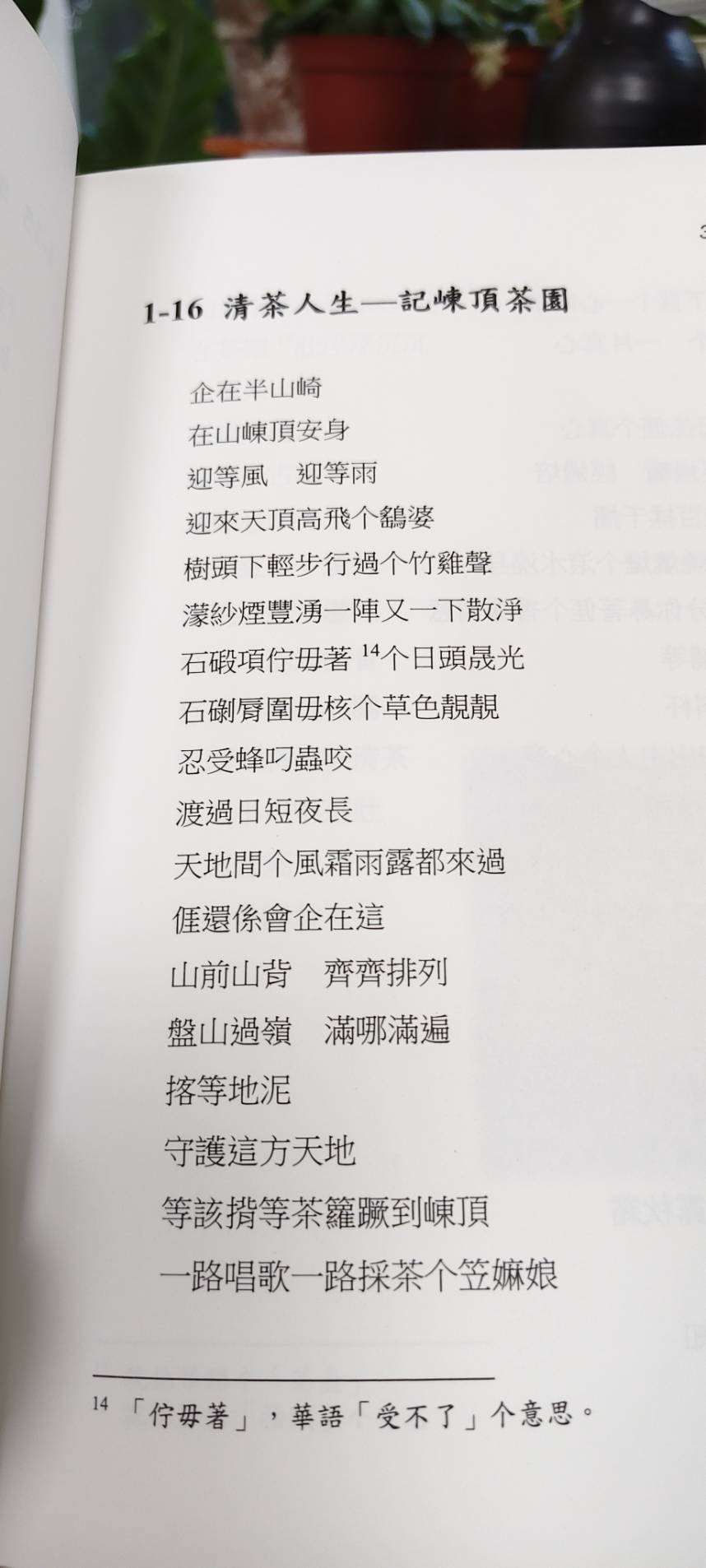節目中朗讀作品〈清茶人生〉