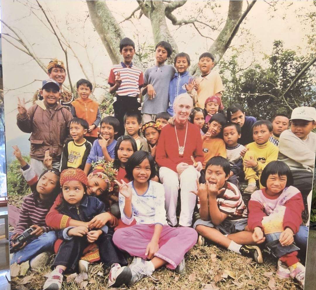 珍古德30年18次造訪台灣，對台灣有深厚情感。(翻攝自展覽現場)