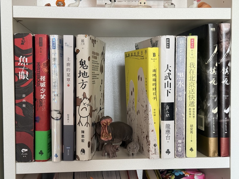 除了中學教師身分，大學同時主修哲學與漢學的莫曼妮也是專業德中譯者，把不少童書與經典台灣文學作品譯為德語。圖為部分莫曼尼翻譯的台灣文學作品。