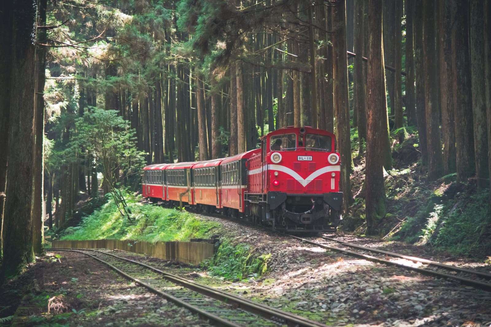 阿里山林鐵  Z字形路線(賴國華先生提供)