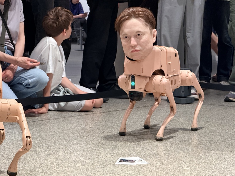 科技巨頭馬斯克旗下社群平台X近年遭德國政治與學術圈抵制，批評者認為，該平台經馬斯克收購，調整演算法後成為假訊息與激進言論擴散場域。圖為裝置作品「常規動物」中以馬斯克為造型的機器狗。
