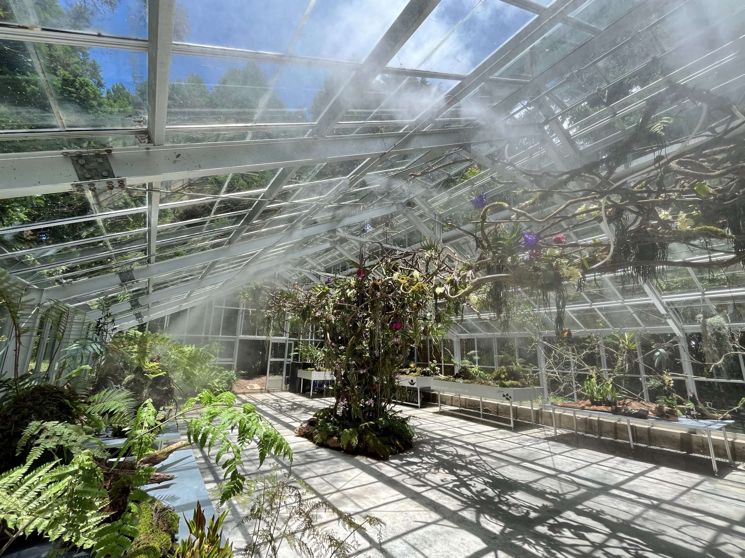 阿里山植物園溫室「浮光界」