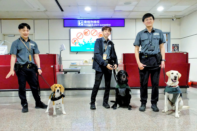 桃園國際機場檢疫犬凶狠表情的諧音哏宣導海報，引起台日網友熱議。防檢署近日推出第3代限量檢疫犬貼紙，以18隻檢疫犬為主角，除了經典款還有新表情，旅客若協助訓練就可獲得其中一款。
