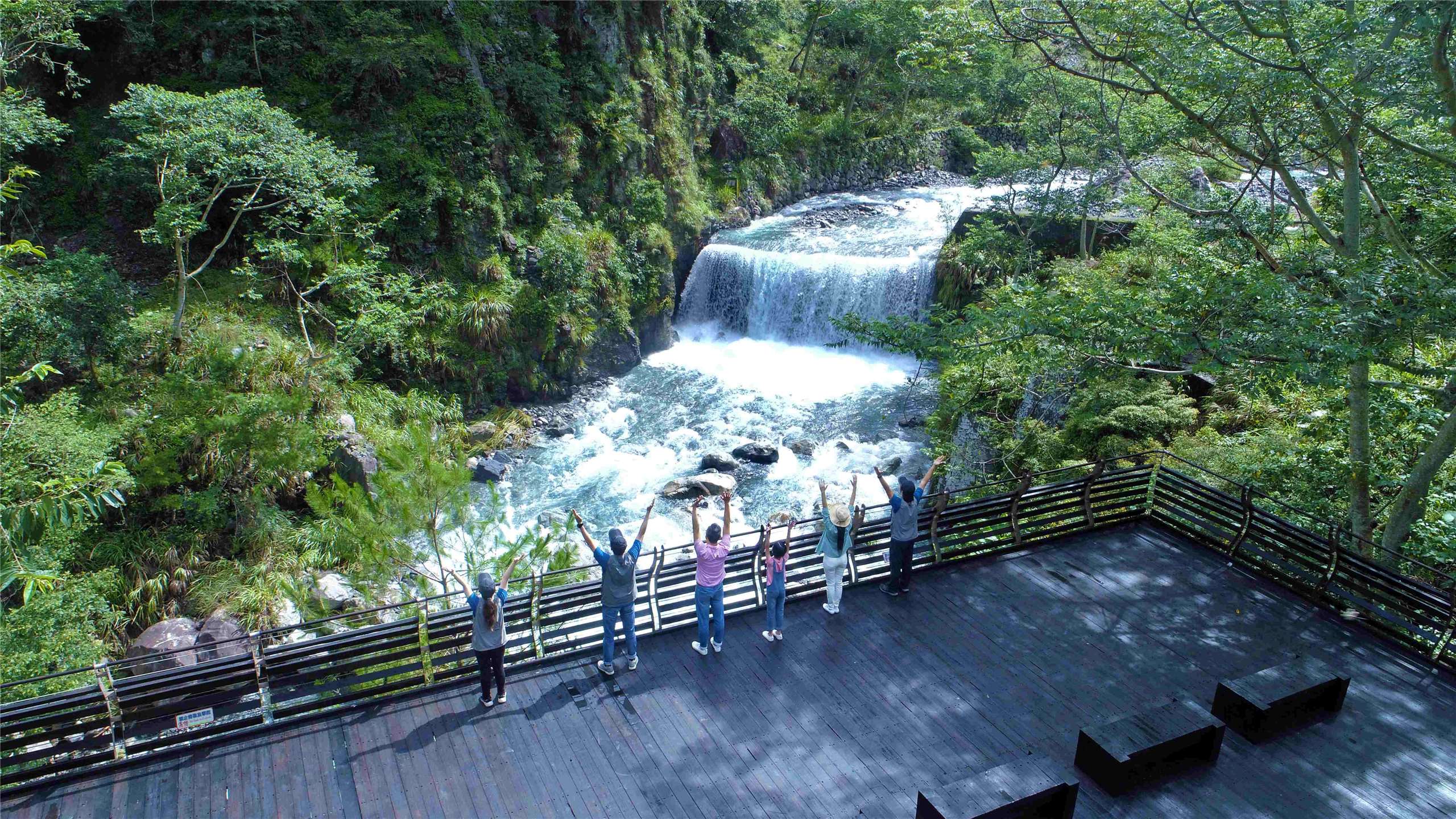 八仙山國家森林遊樂區-山鳥與清溪的夏日合奏