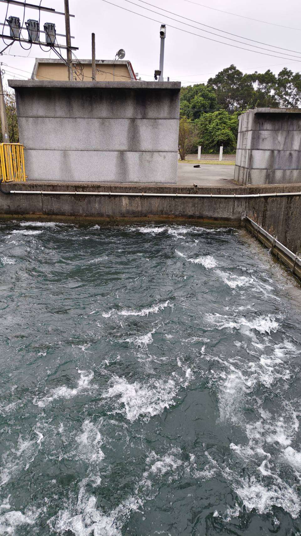 分水池前的清澈河水將流向寶山水庫供應新竹科學園區用水