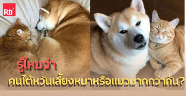 ข่าววันพุธ x ไต้หวัน Say so - 2025-10-22 (photo: ETToday)