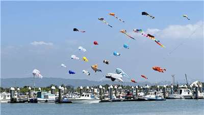 ต้อนรับเทศกาลว่าวนานาชาติเมืองซินจู๋ จัดแสดง 3-5 ต.ค.นี้ ชมว่าวรูป UFO และนักบินอวกาศเหินฟ้าร่วมกัน (ภาพ เทศกาลว่าวนานาชาติเมืองซินจู๋)