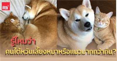 ข่าววันพุธ x ไต้หวัน Say so - 2025-10-22 (photo: ETToday)