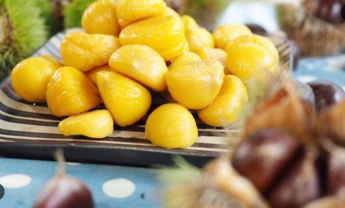 เกาลัดสีทอง ที่สวนเกาลัดตระกูลหลิน(photo:Taiwan Homemakers United Consumers)