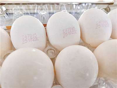 พบไข่ไก่ปนเปื้อนสารฆ่าแมลง ซินจู๋สั่งถอดออกจากชั้นวาง ผู้บริโภคโปรดเช็คเลขล็อตก่อนซื้อ