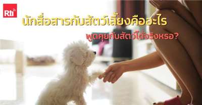 ข่าววันพุธ x ไต้หวัน Say so - 2025-11-05