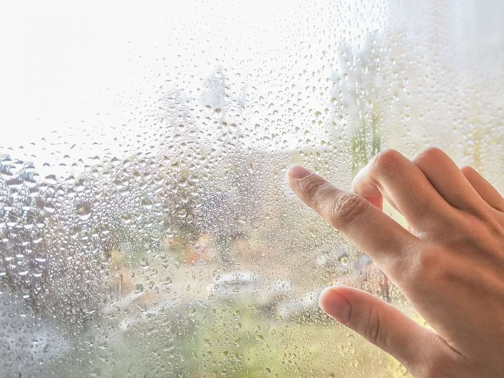 มิติใหม่ ไต้หวัน ประจำวันที่ 21 ธันวาคม พ.ศ. 2568