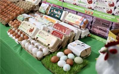 คาร์ฟูร์ร่วมมือกับเกษตรกรรายย่อย จัดหาไข่ไก่ไม่ขังกรงคุณภาพดีและปลอดภัย(ภาพจาก คาร์ฟู)