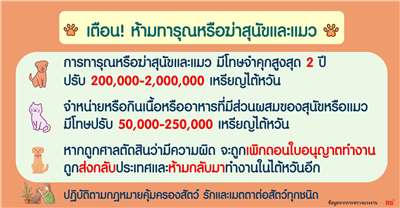ไขปัญหาแรงงาน ห้ามทารุณหรือฆ่าสุนัขและแมว ผู้ฝ่าฝืนมีโทษจำคุกสูงสุด 2 ปี