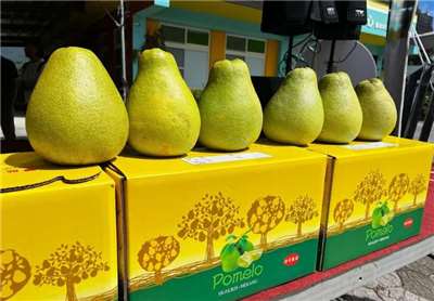 ส่งออก “ส้มโอเหวินตั้นฮัวเหลียน” รุกตลาดพรีเมียม