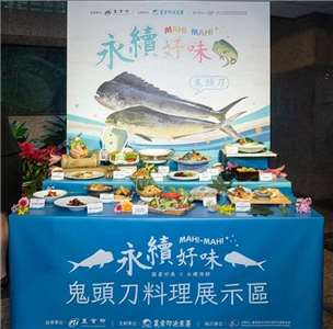 กรมประมงไต้หวันเปิดตัวแผนส่งเสริม **ปลาอีโต้มอญที่จับได้ในประเทศ** อย่างเป็นทางการ จับมือผู้ประกอบการอาหารและที่พักชั้นนำ 12 ราย ครอบคลุมโรงแรมระดับดาว 13 แห่ง และร้านอาหารกว่า 50 สาขา เปิดตัว 21 เมนูพิเศษ สะท้อนความสำเร็จประมงยั่งยืน พร้อมผลักดันการบริโภคอาหารทะเลท้องถิ่นอย่างรับผิดชอบ(ภาพ:กรมประมง)
