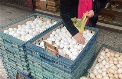 ไข่ไก่แพงขึ้น 3 เหรียญ เหตุอากาศหนาวฉุดการผลิต สวนทางความต้องการร้านหม้อไฟ (photo: CNA)
