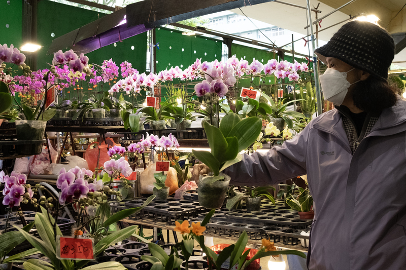 การลงนามข้อตกลง ART ไต้หวัน–สหรัฐฯ หนุนการผลิตกล้วยไม้ไต้หวันเพิ่มขึ้น Photo: CNA,Taiwan