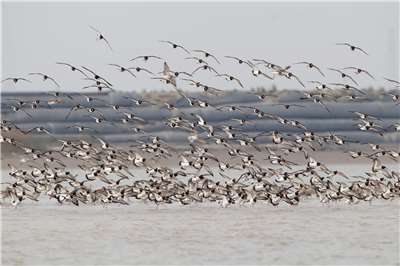 ไต้หวัน Say So x Hope station- 2026-02-16 (photo: news.cn)