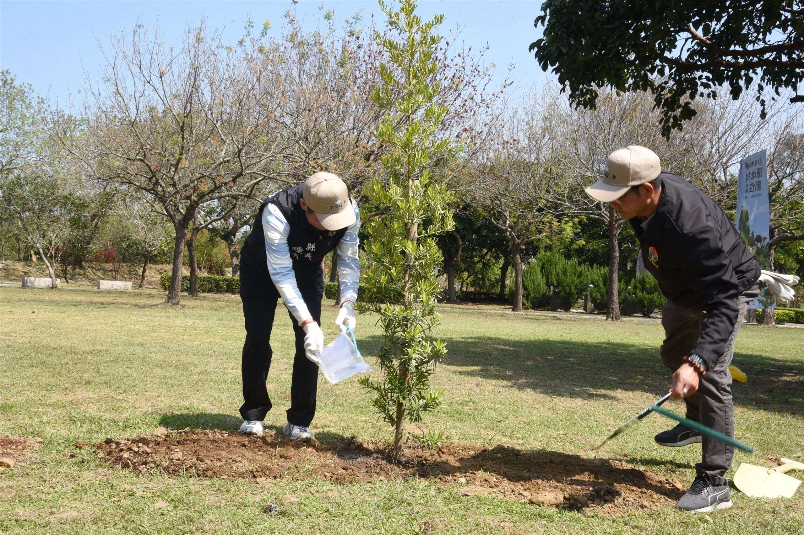 จงตงจิ่น ผู้ว่าการเมืองเหมียวลี่ ร่วมปลูกต้นสนใบพายหลานอวี่