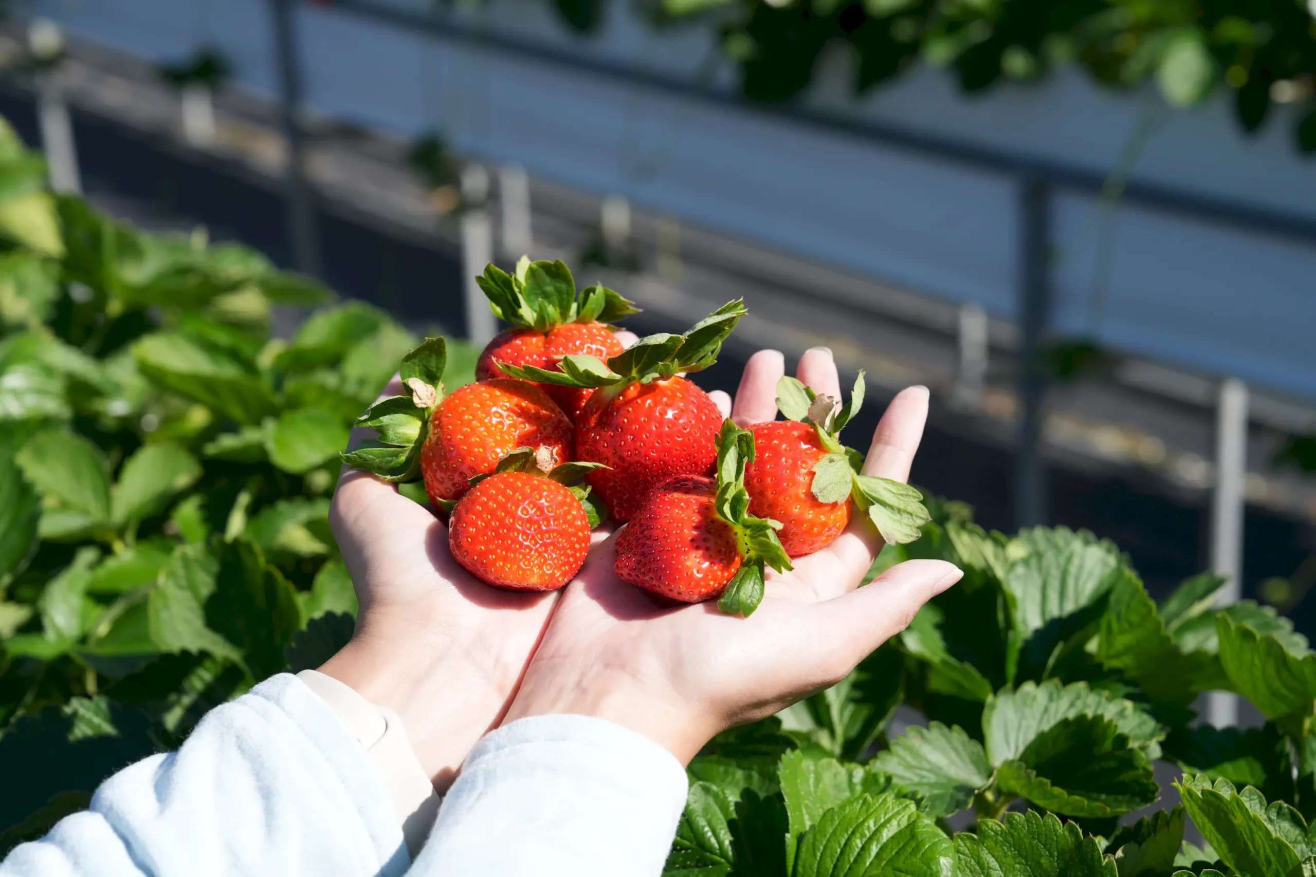 เลาะรั้ว ครัวไต้หวัน ประจำวันที่ 14 มีนาคม พ.ศ. 2569