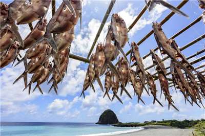 ไต้หวัน Say So x Hope station - 2026-03-23 (Photo：Shutterstock)