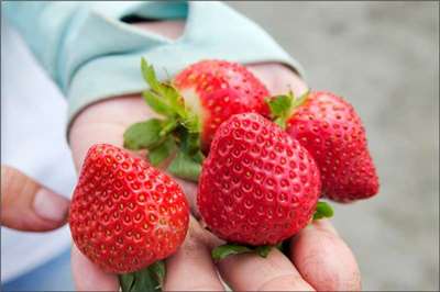 เลาะรั้ว ครัวไต้หวัน ประจำวันที่ 3 มีนาคม พ.ศ. 2569