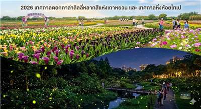 กลางวันตระการตา กลางคืนมหัศจรรย์! สัมผัสเสน่ห์สองขั้วของไต้หวันกับการชมทุ่งดอกคาล่าลิลลี่หลากสีสันใต้แสงตะวัน และตามล่าหาแสงหิ่งห้อยสุดโรแมนติกยามค่ำคืน (ภาพประกอบจาก AI)